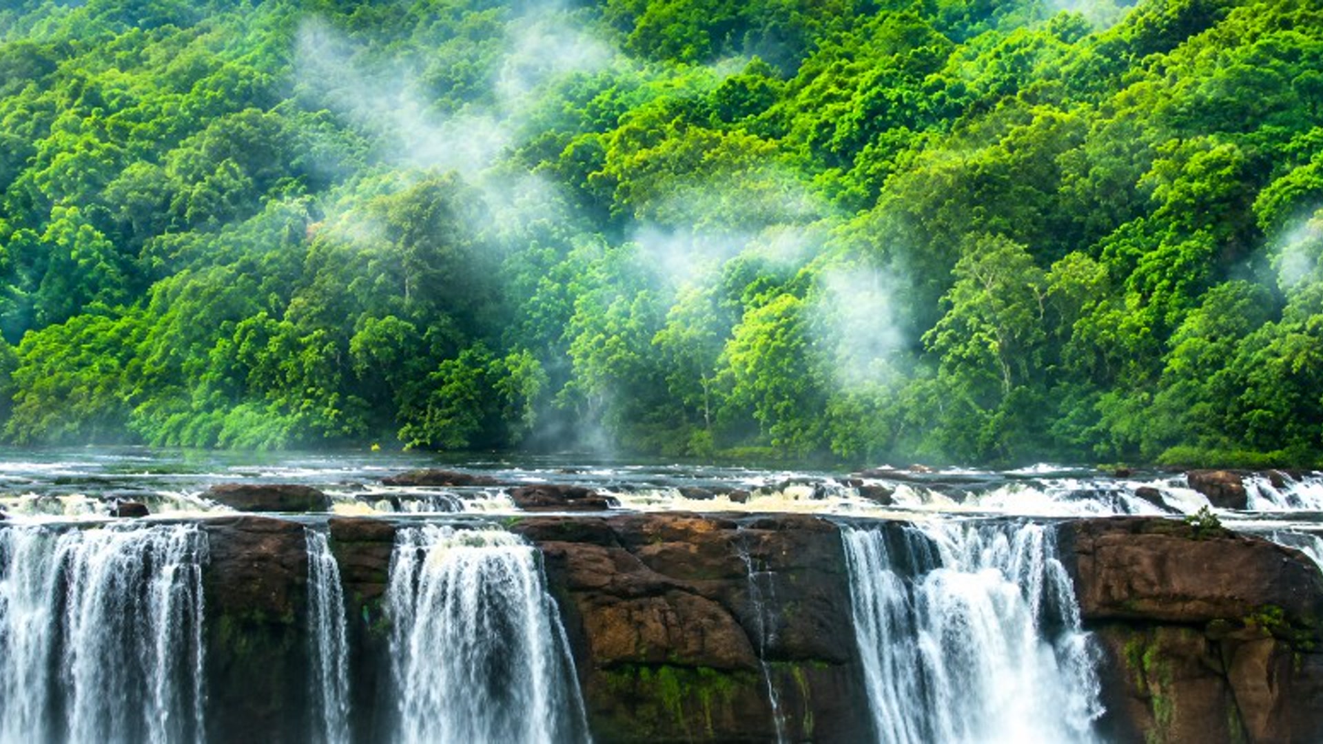 Munnar tea plantations and waterfall