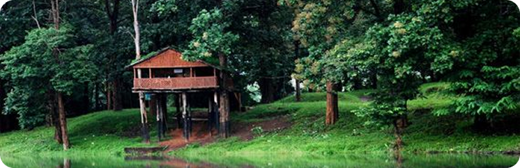 Tree House